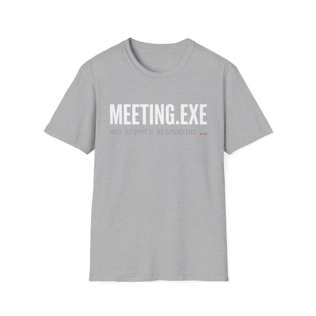 Meeting