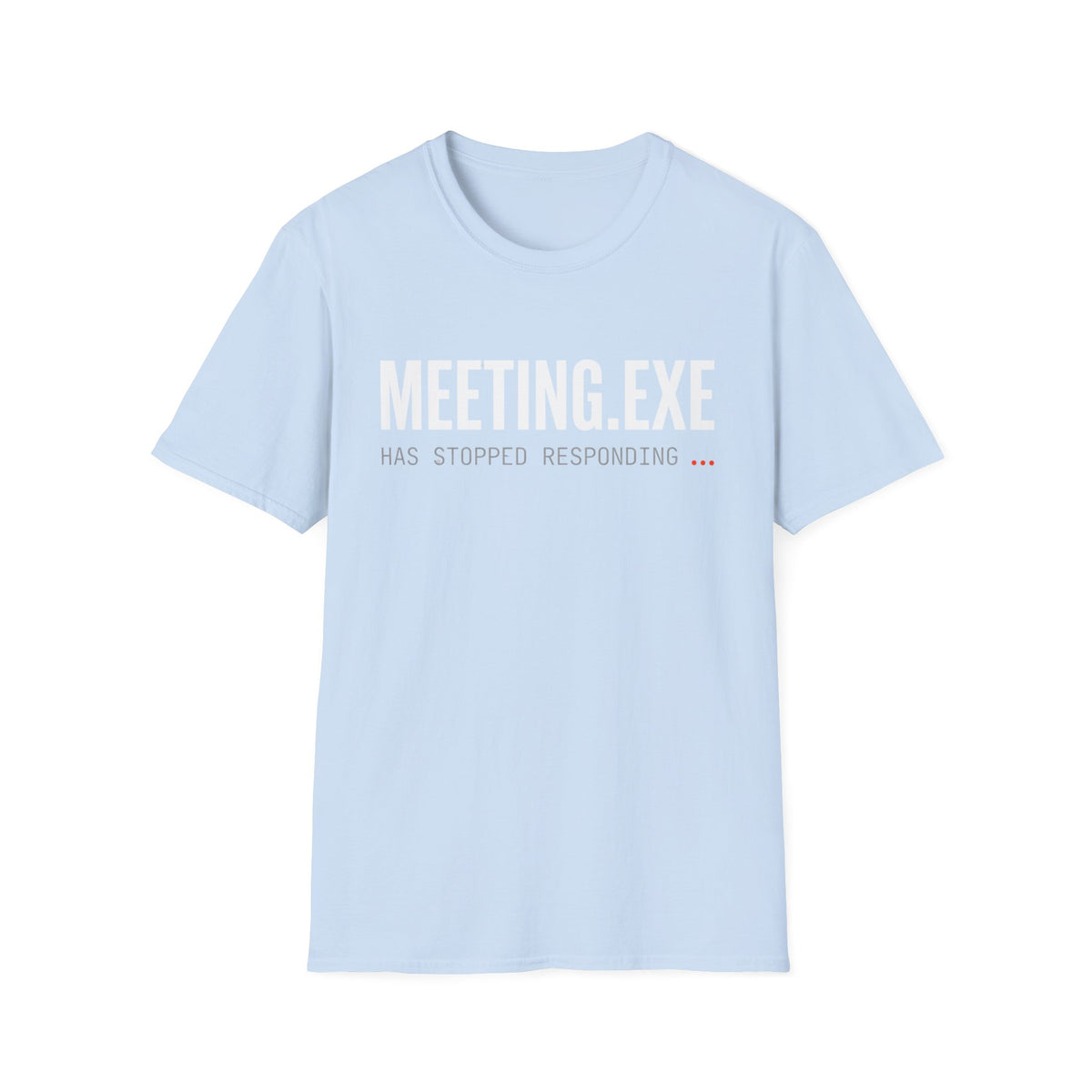 Meeting