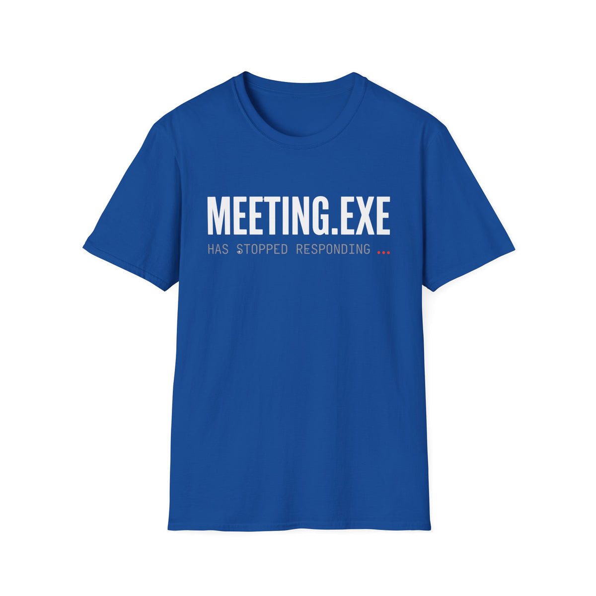 Meeting