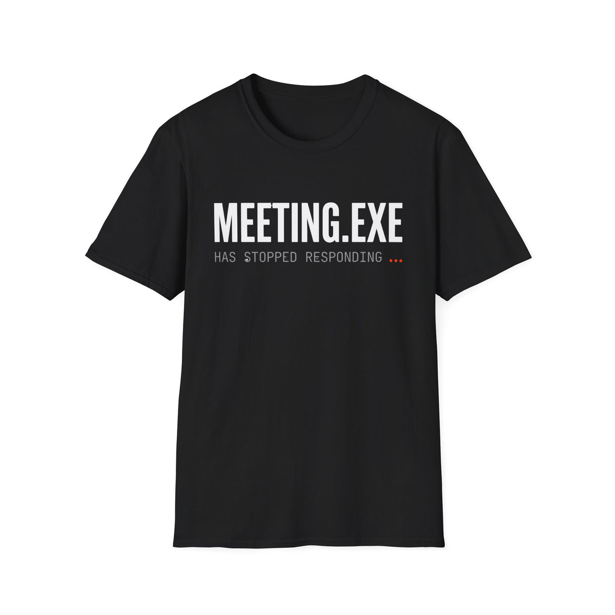 Meeting